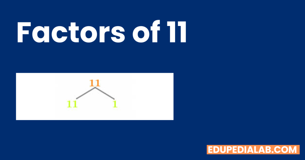 Factors Of 11