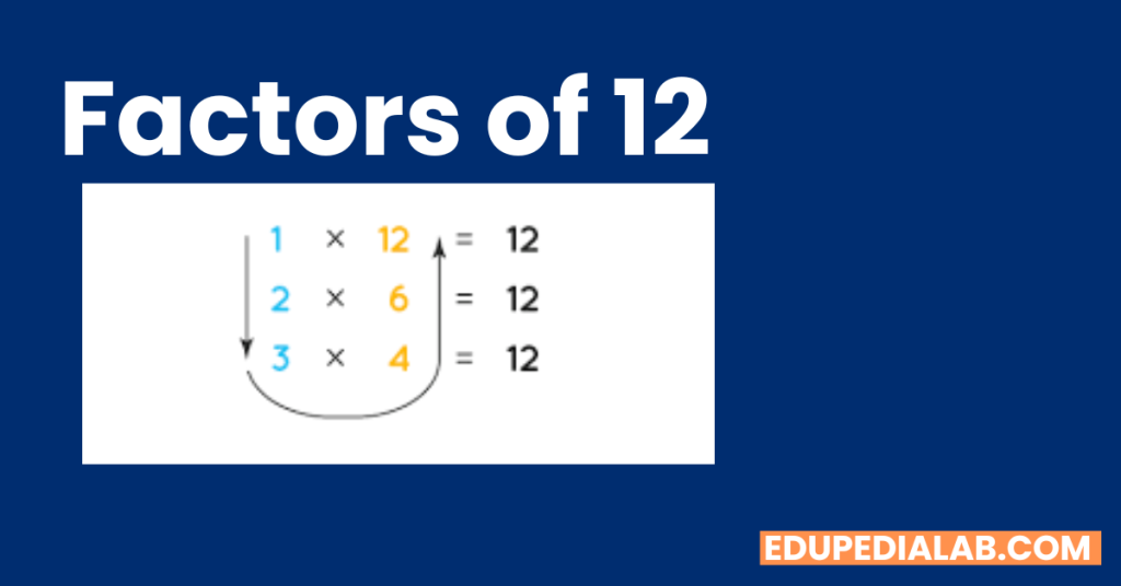 Factors Of 12