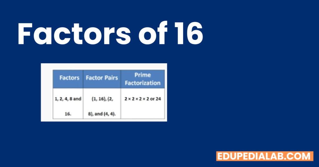 Factors Of 16