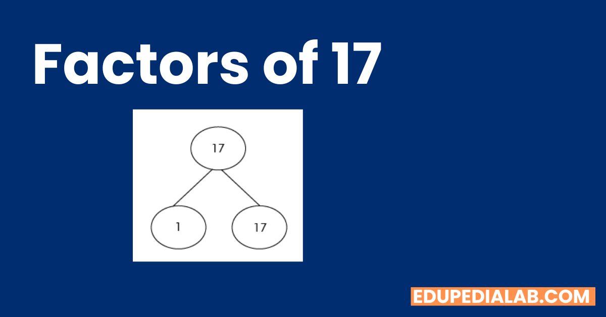 Factors Of 17